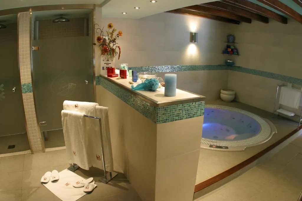 Hotel & Spa Casa Irene Arties 4*,
